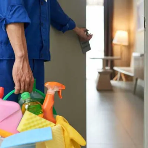 Sofa and Mattress Cleaning